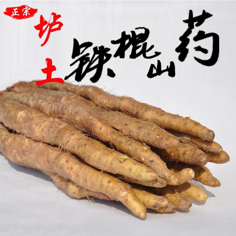 河南理工大学山药哥,程建伟铁棍山药