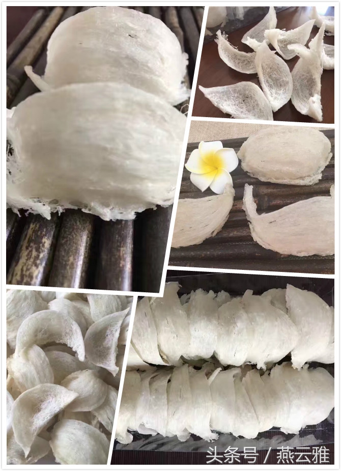 燕窝等级：4A5A6A哪种才是好燕窝？