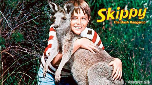 澳大利亚中国吃货,澳大利亚卖中国美食