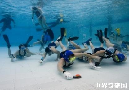 世界10大体育项目,世界上的十大最难的体育项目