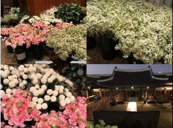 乔妹双宋婚礼高清图片,双宋和乔妹的照片