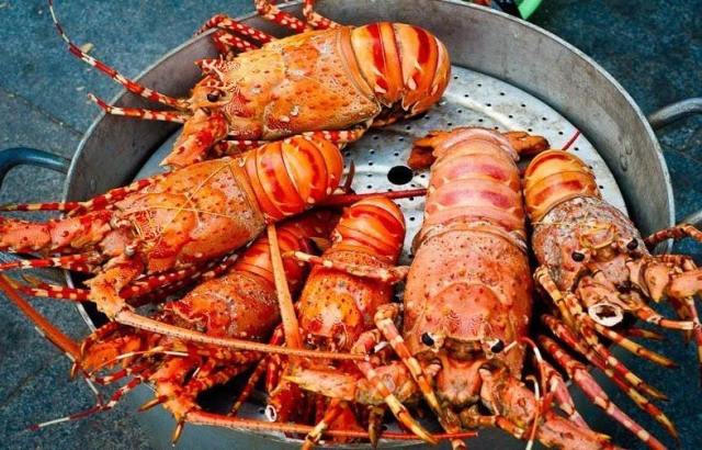 第一次到越南芽庄怎么去,第一次去越南旅游注意事项