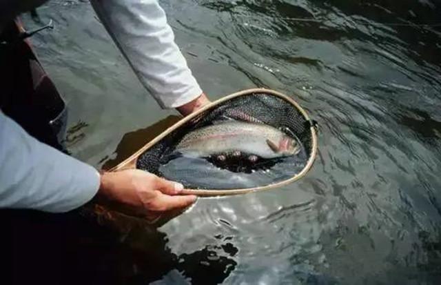 野钓鱼进窝不开口咋办,钓鱼进窝不开口怎么回事