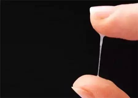 找到排卵期的正确方法!造人一发就中!