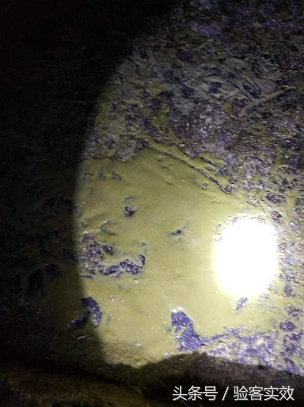 猪群腹泻严重怎么控制,仔猪病毒性腹泻最快解决方法