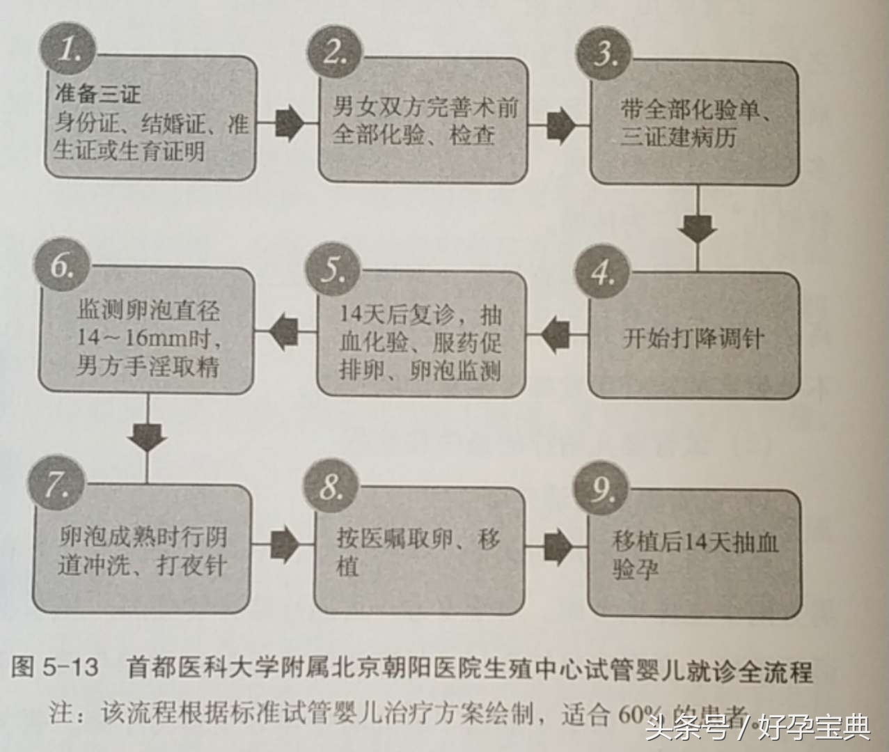 试管婴儿流程及治疗费用,什么叫试管婴儿怎么做