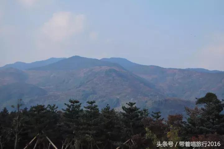 四明山该去哪,四明山观景台晚上能看风景吗