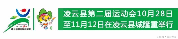 2017年凌云县第二届运动会,凌云杯运动会