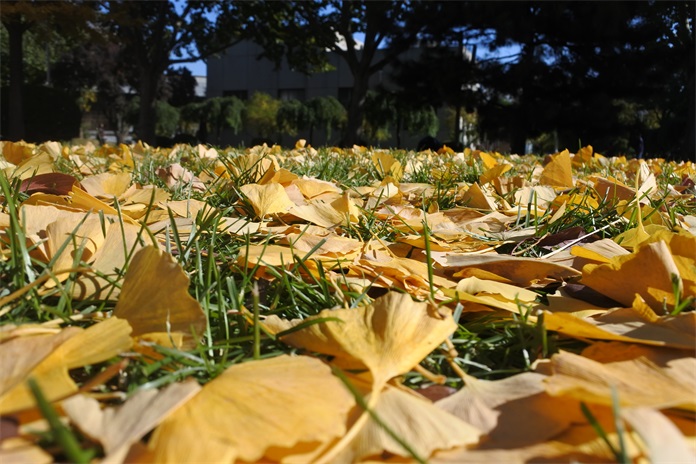 尼康j5各系列哪个值得入手,尼康j5最新视频