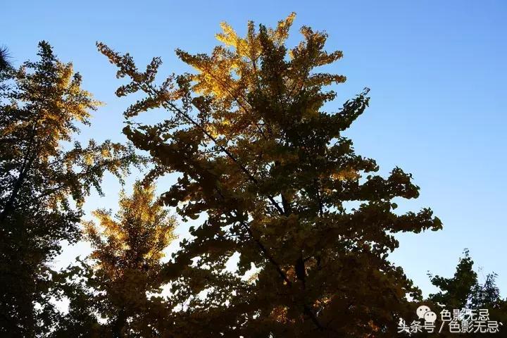 索尼黑卡rx10iv摄影尺寸,如何使用索尼黑卡rx10iv