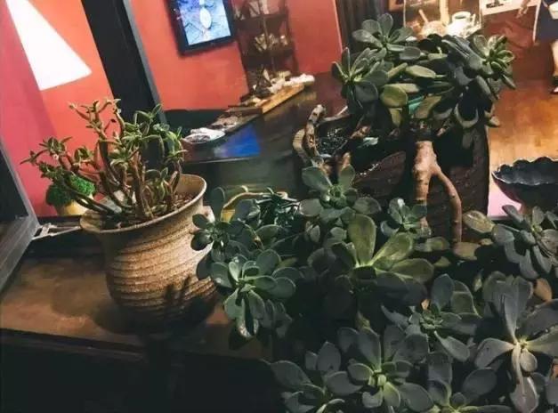 武汉11月新晋美食来了，这20家新店让你欲罢不能！吃吃吃撑到爆！