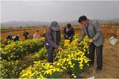 起步创业没有资金如何贷款,想创业没有钱的最好方式