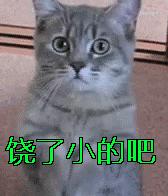 ppt插件版本太低如何解决,ppt太大卡用什么插件