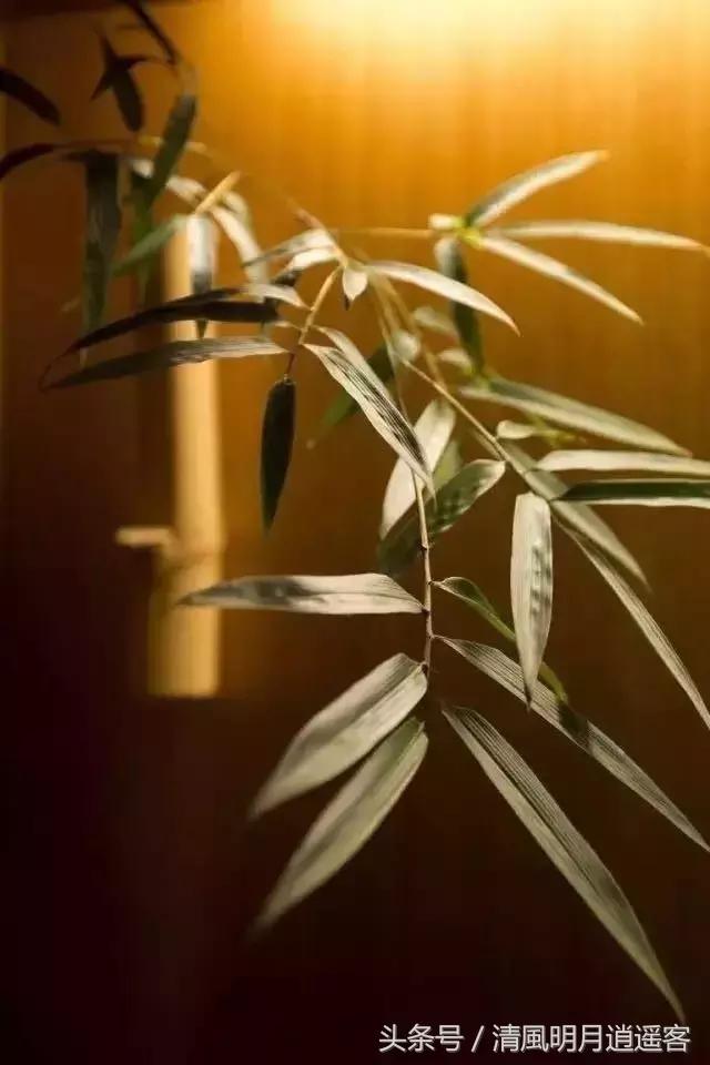 苏东坡五句诗词道尽人生,苏轼看透人生的十首诗句