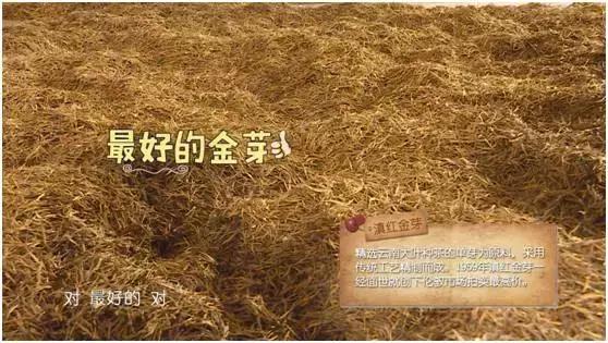 七彩飘香云南芒市,正宗凤庆滇红之明前金丝滇红