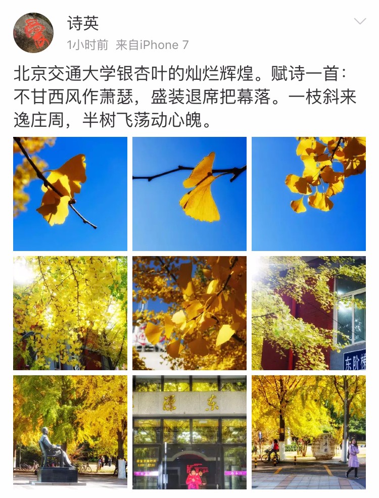 京城赏秋打卡胜地,京城赏荷最佳路线图