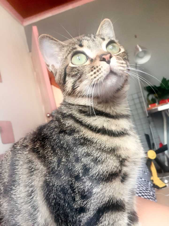 90后女孩出租屋改造日记,90后女孩买房子不装修