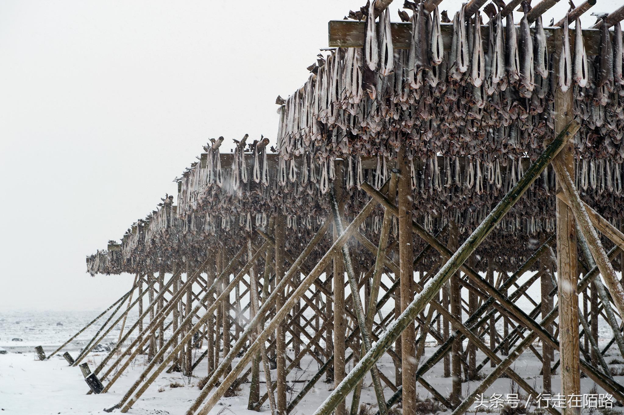 将渔民当成梦想职业？因为收入高假期多，千万欧元资产很常见