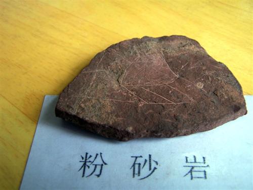 岩石由哪些矿物组成,岩石是由什么构成的