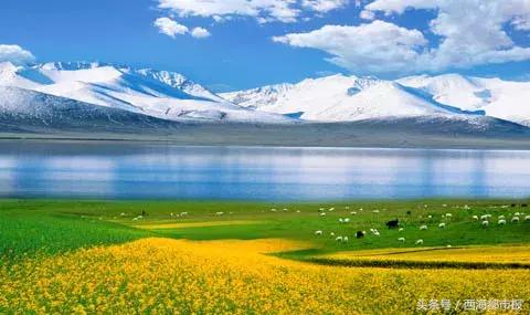 青海人采访,嘿青海歌曲