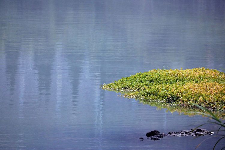 闽中明珠尤溪，八山一水一分田