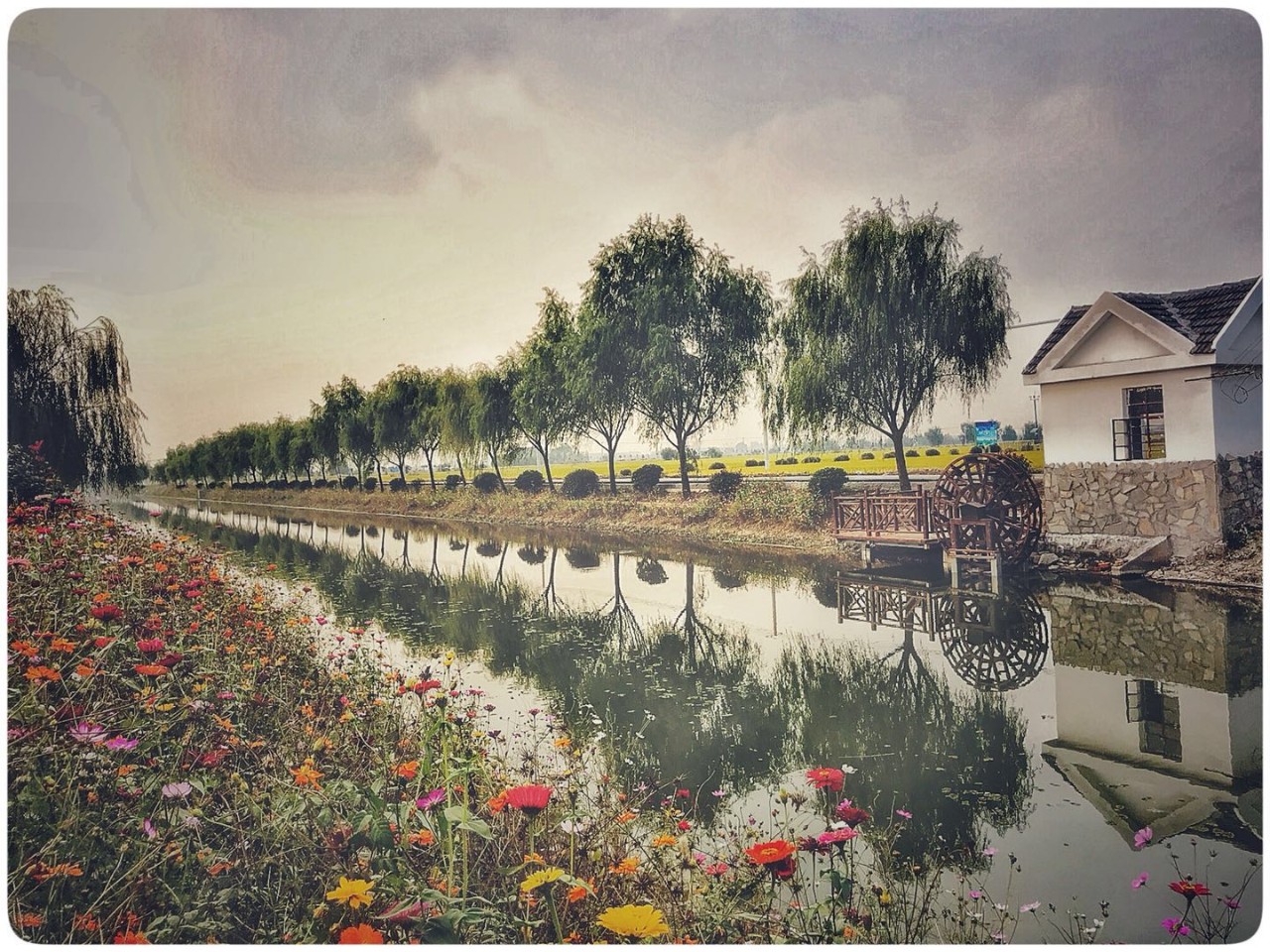 手机摄影作品赏析,手机摄影作品也可以美不胜收