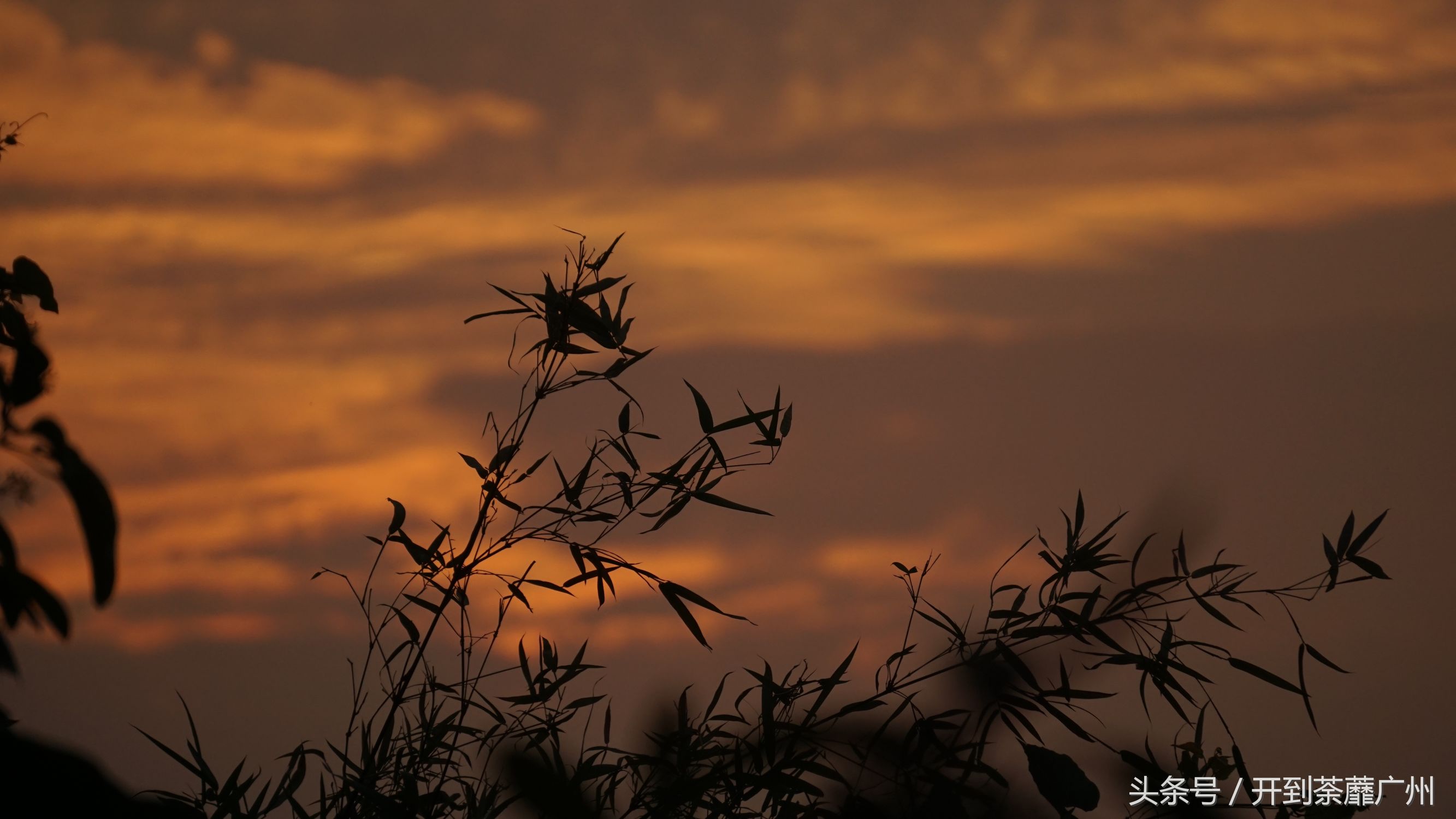 官洲岛：微凉初秋夕阳无限好天色已黄昏