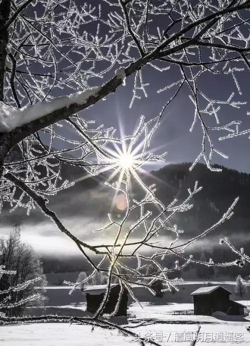 独钓寒江雪，风雪夜归人，200句经典冬天诗句