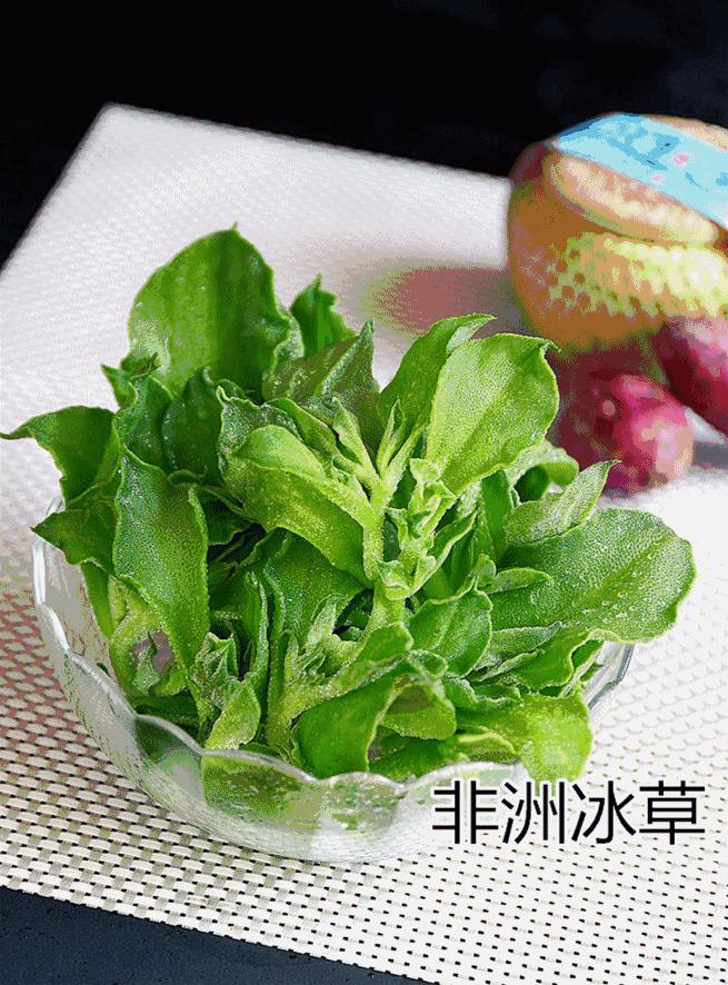 高冷又美味的藏茶素食火锅来*疆新**了~“吃素”其实是件很酷的事!