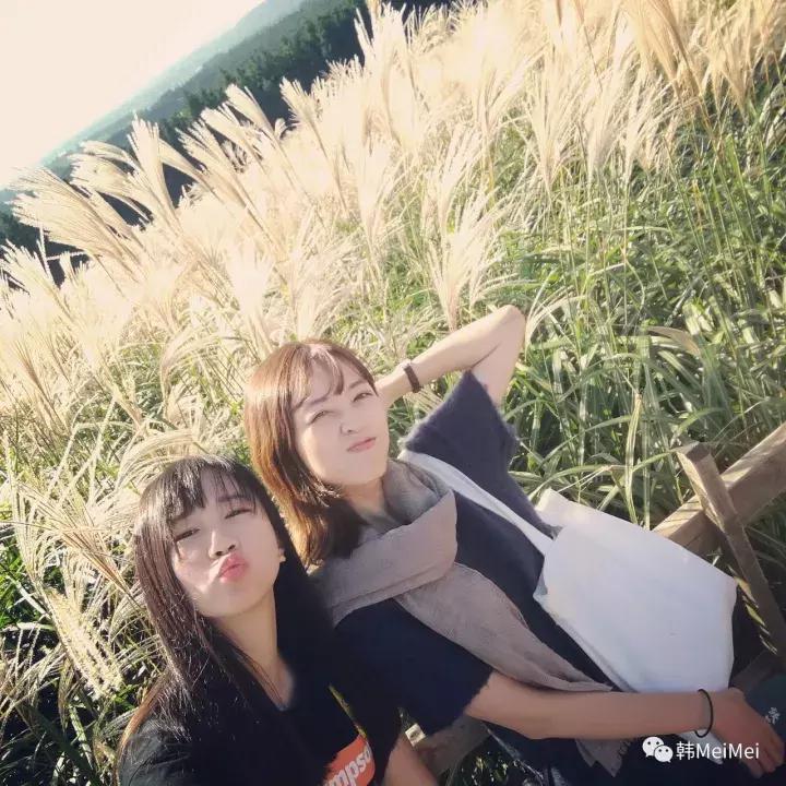 Trip丨如何在济州岛练就“济州瘫”（下部）