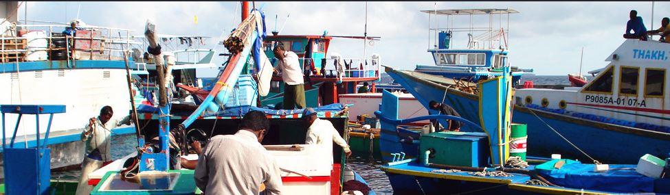 马尔代夫满月岛,满月岛