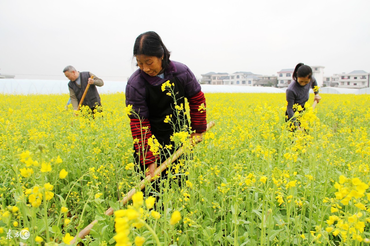 十堰郧西民俗表演,郧西老街民俗表演