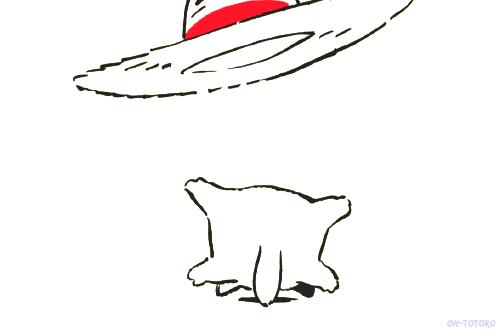 同样是撸猫，看看荷兰人和我们有什么不一样！