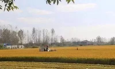 连云港哪个地方最有钱,江苏连云港有钱吗