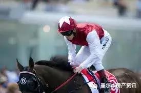 想试试赌马的运气？此攻略带你玩转墨尔本赛马节！