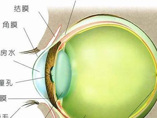 青光眼患者药物使用禁忌,青光眼禁忌的药物有哪些