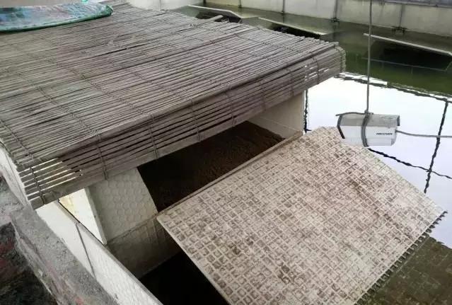 乌龟蛋在自然条件下怎么孵化,养一只乌龟下蛋了能孵化出来吗