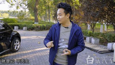 白话汽车,白话汽车大众辉腾