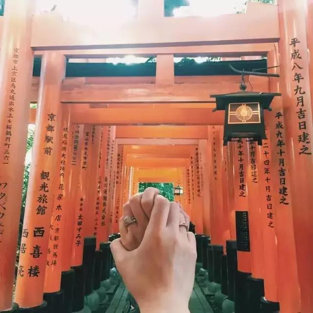 和你一起看世间最美的风景,只为和你相遇一起看最美的风景