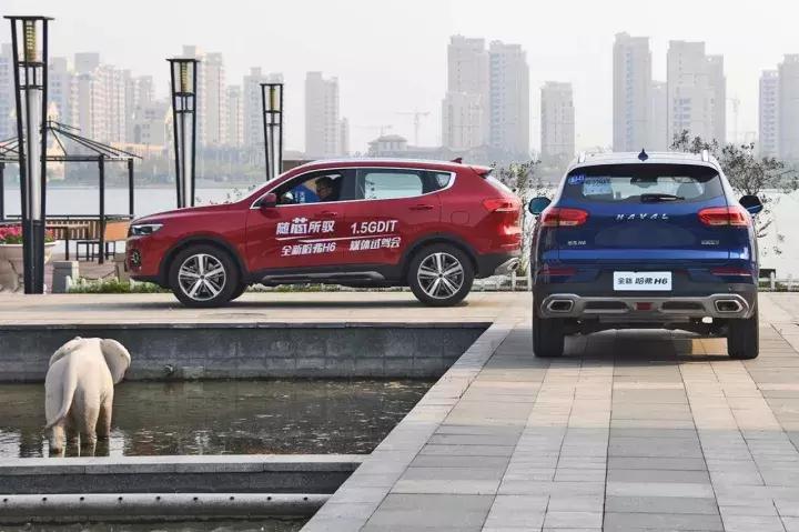 哈弗h6有柴油车吗,1400转爆发最大扭矩300牛米