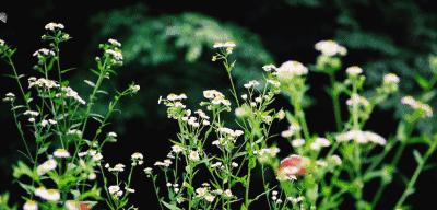 走遍32个国家,走遍40个国家