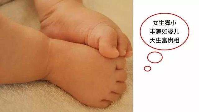 看过手相的人,看了手相又看了面相