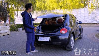 白话汽车,白话汽车大众辉腾