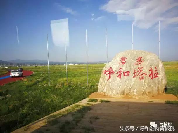 大家好这是我的家英文,大家好这是我的家图片卡通