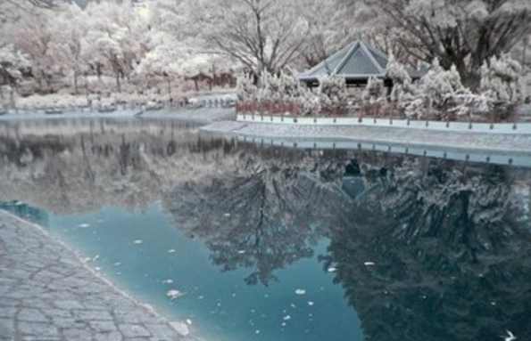 历史上窦娥真的存在吗？“六月飞霜”是因为天大的冤情才出现的？