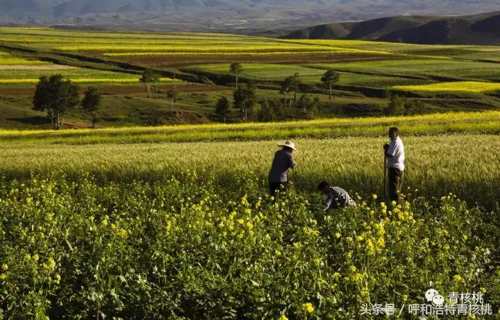 大家好这是我的家英文,大家好这是我的家图片卡通