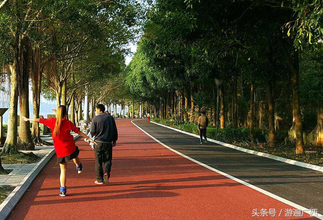 南宁三塘免费景点,南宁十大免费旅游景点