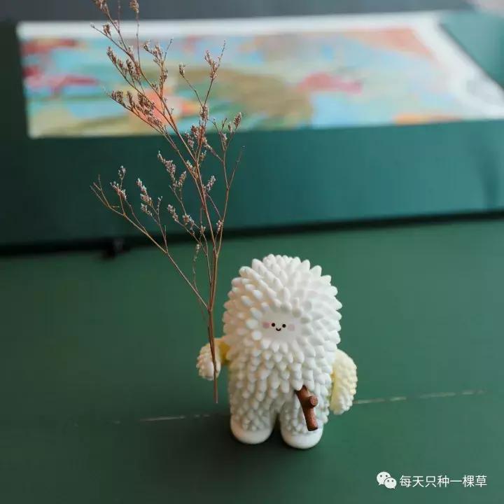 双十一你买什么最划算,双十一你们都买啥推荐一下