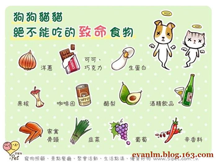 狗狗偷吃了巧克力后应该如何救治,宠物狗狗误食巧克力饼干该怎么办