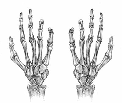 吸*毒冰**吸到走路都“慢腾腾”还能够恢复如初吗？